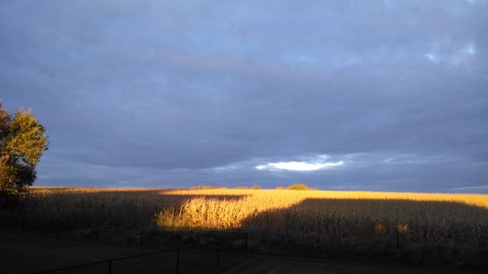 IMG_20141004_182618567