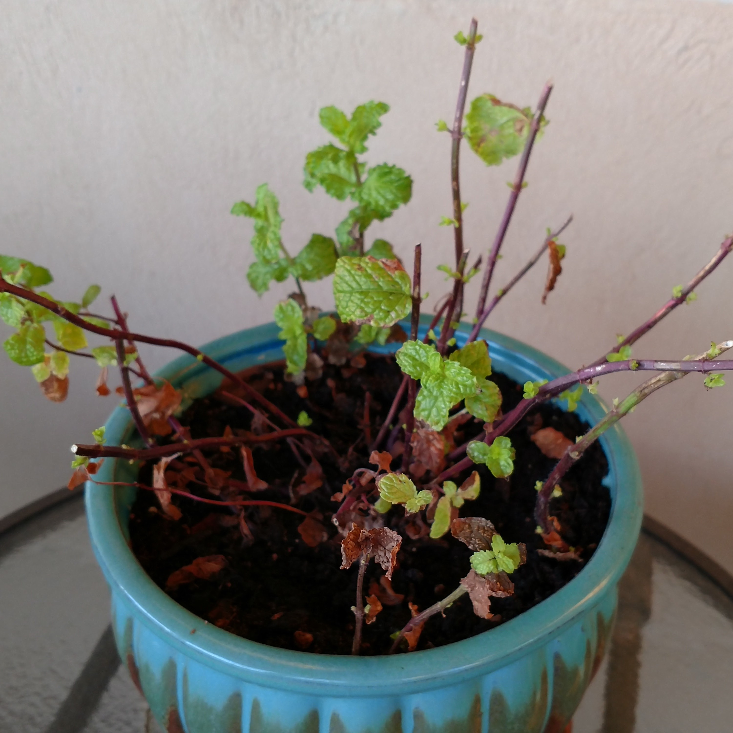 IMG_20170727_065913778