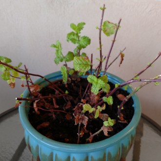 IMG_20170727_065913778