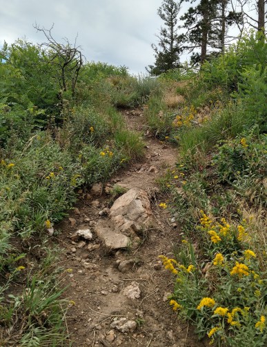 IMG_20170730_121623787_HDR