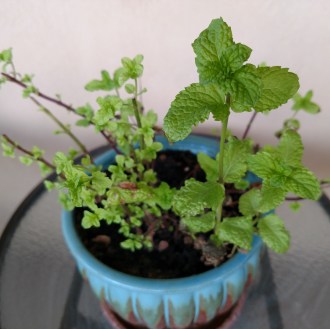 IMG_20170801_164511470