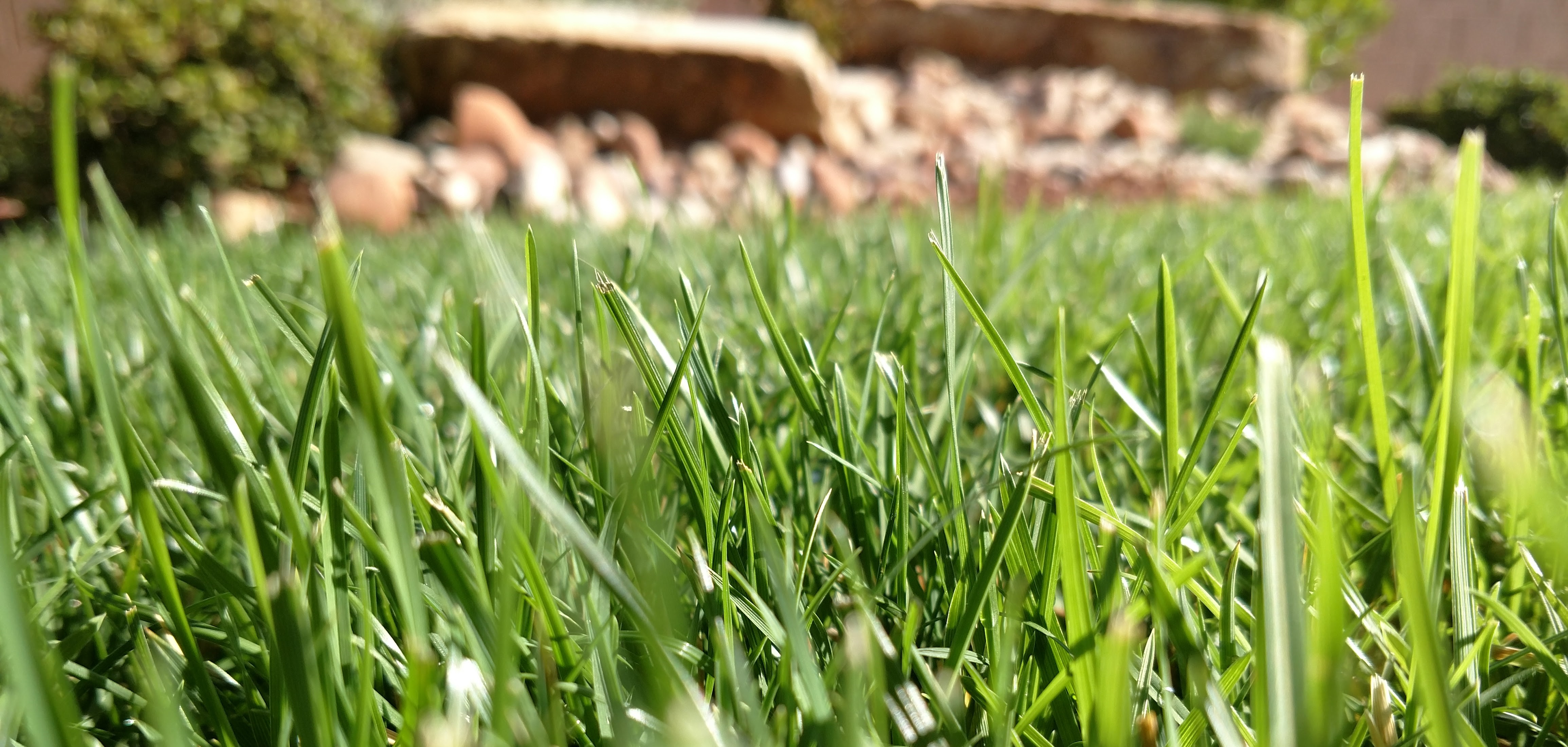 IMG_20170825_094046573