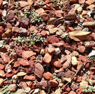 IMG_20170814_100010405