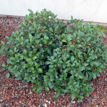 IMG_20170901_085900970