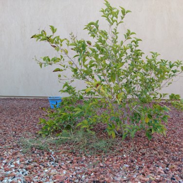 IMG_20170901_091552350