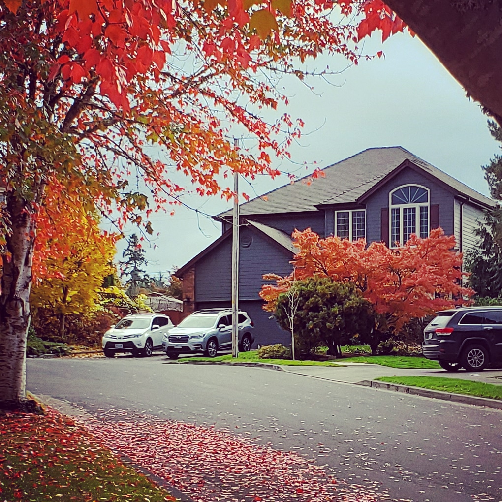 IMG_20191030_084346_780