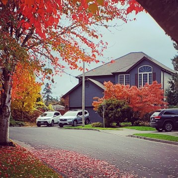 IMG_20191030_084346_780