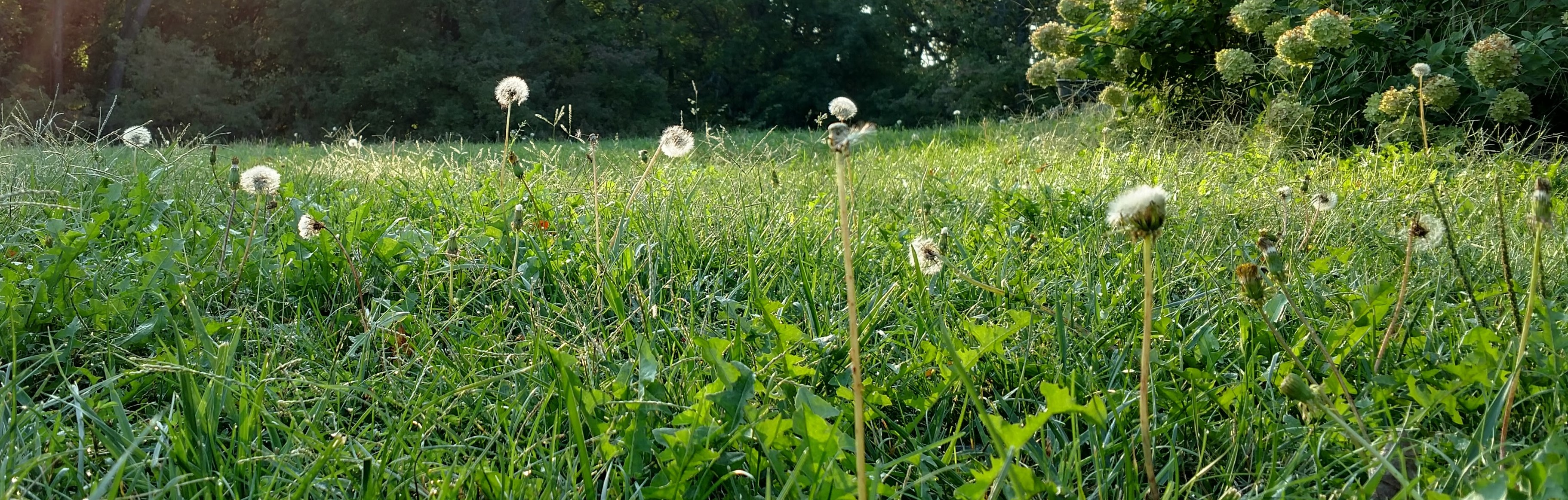 IMG_20170924_080536518_HDR