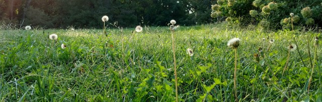 IMG_20170924_080536518_HDR