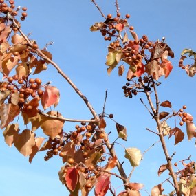 IMG_20171113_140724989