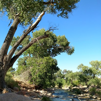 IMG_20170629_085713978_HDR