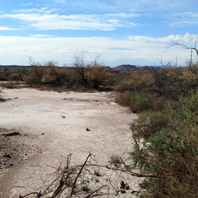 IMG_20170824_104105824 (1)