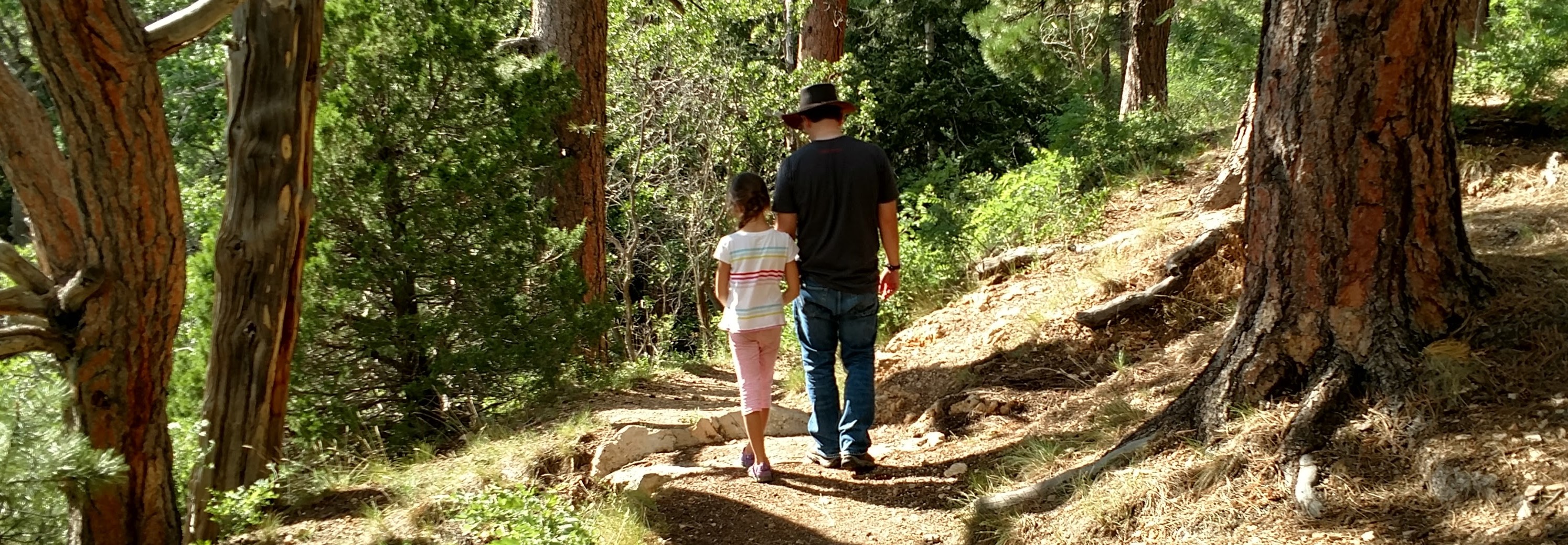 IMG_20170729_161117309_HDR