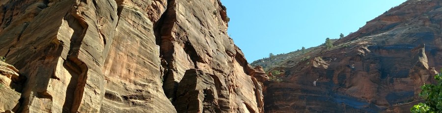 Weeping Rock, Zion National Park