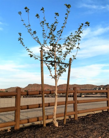 IMG_20180506_194034193_HDR