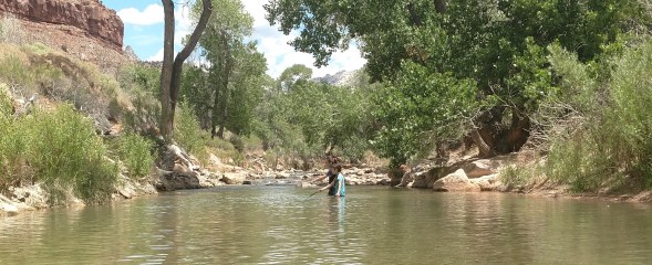 IMG_20180530_124755730