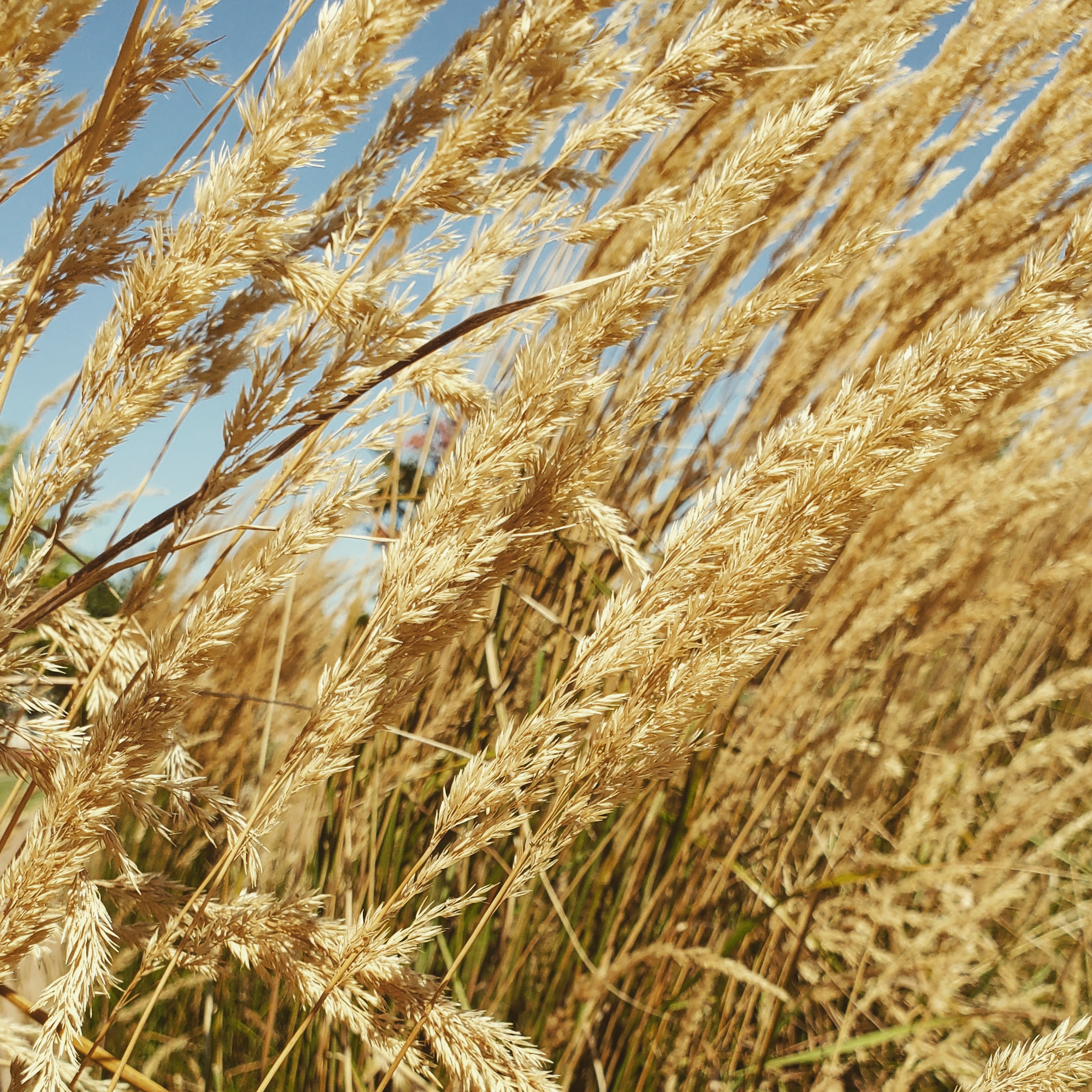 IMG_20190916_085548_877